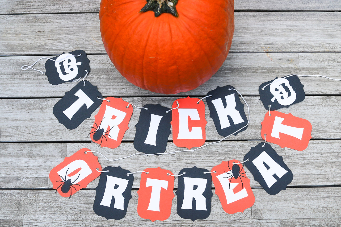 Halloween Mini Banner